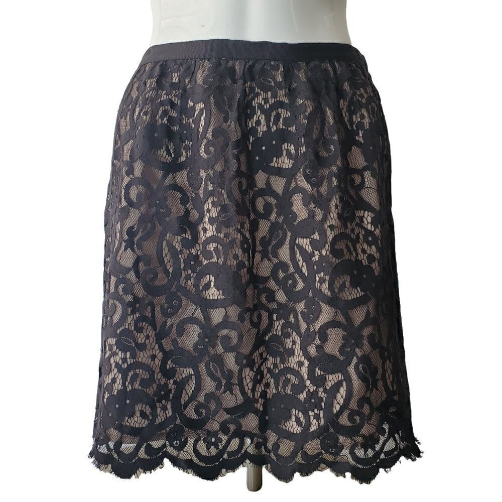 Ann Taylor Loft Womens Sheer Black Lace Pencil Skirt Scalloped Hem Lined Size 2